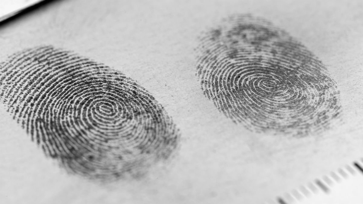 Fingerprint test что это за программа на андроид